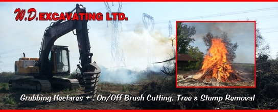 Brush cutting, Root Raking, Salvage, Recycling, Cleanup, Tree Removal, Stump Removal